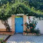 Rent 3 bedroom apartment of 90 m² in Vibo Valentia