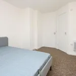 Rent 3 bedroom apartment in Colchester