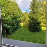 Rent 1 bedroom apartment in Železná Ruda