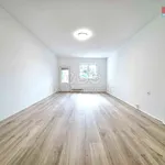 Pronajměte si 1 ložnic/e byt o rozloze 44 m² v Nová Ves u Plzně