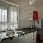 Rent 3 bedroom apartment of 45 m² in Pisa