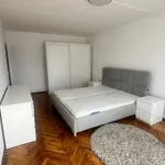 Rent 2 bedroom apartment in Karlovy Vary