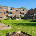 Rent 1 bedroom apartment in Sarnia