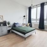 Rent a room of 53 m² in berlin