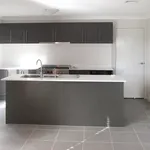 Rent 4 bedroom house in  The Ponds NSW 2769                        