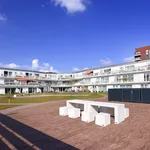 Rent 4 bedroom apartment of 116 m² in Pijnacker