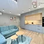 Rent 2 bedroom apartment of 43 m² in Łódź