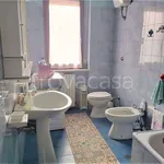 Rent 3 bedroom apartment of 80 m² in Alba Adriatica