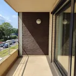 Rent 2 bedroom apartment in Wetteren