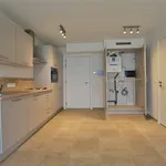 Rent 1 bedroom apartment in DENDERMONDE