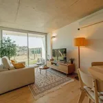 Rent 1 bedroom apartment in porto