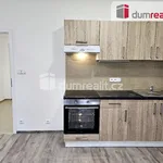 Rent 1 bedroom apartment in Plzeň