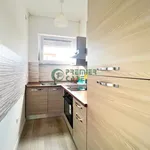 Rent 2 bedroom apartment of 50 m² in Turin