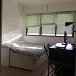 Rent 4 bedroom apartment in Lisbon