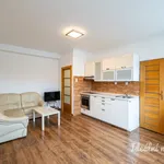 Rent 2 bedroom apartment of 43 m² in Capital City of Prague