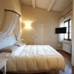 Rent 2 bedroom apartment of 45 m² in Florence