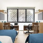 Alquilo 1 dormitorio apartamento de 23 m² en Granada