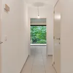 Rent 1 bedroom apartment in Halle