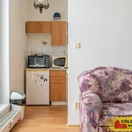 Rent 1 bedroom apartment of 38 m² in Brno