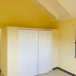 House for Rent St. James, Montego Bay