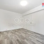 Rent 1 bedroom apartment of 29 m² in Ústí nad Labem