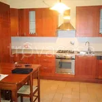 Rent 3 bedroom apartment of 75 m² in San Prospero