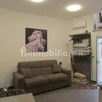 Rent 1 bedroom apartment of 30 m² in Syracuse