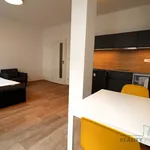 Rent 1 bedroom apartment of 35 m² in Brno