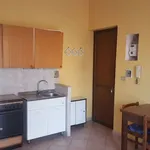 Rent 1 bedroom apartment of 30 m² in Moncalieri