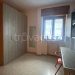 Rent 4 bedroom apartment of 135 m² in Bari