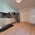 Rent 2 bedroom house of 130 m² in Eindhoven