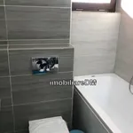 Rent 1 bedroom apartment in Tunari