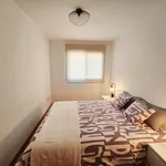 Rent 1 bedroom apartment of 45 m² in Castelló de la Plana