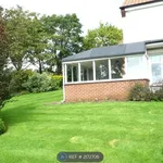 Rent 3 bedroom house in Yorkshire And The Humber