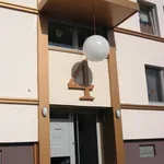 Rent 3 bedroom apartment of 70 m² in Dortmund