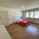 Rent 1 bedroom apartment of 560 m² in Basel