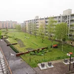 Rent 2 bedroom apartment of 66 m² in Amsterdam