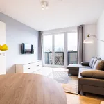 Rent 1 bedroom apartment of 538 m² in Berlin