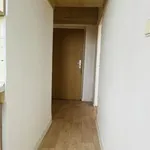 Rent 1 bedroom apartment of 35 m² in Ostrava