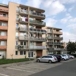 Pronajměte si 2 ložnic/e byt o rozloze 60 m² v Pardubice