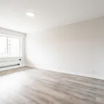  appartement avec 1 chambre(s) en location à Montreal