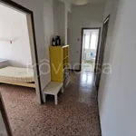 Rent 1 bedroom apartment of 15 m² in Pavia