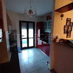 Rent 4 bedroom apartment of 110 m² in Perugia