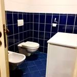 Pronajměte si 2 ložnic/e byt o rozloze 115 m² v Prague