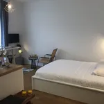 Appartement de 250 m² avec 1 chambre(s) en location à Lyon