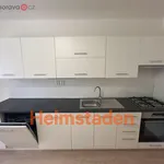 Rent 4 bedroom apartment of 76 m² in Ostrava