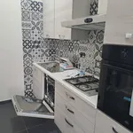 Rent 3 bedroom apartment of 80 m² in Torino