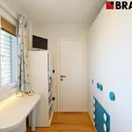 Rent 3 bedroom apartment of 55 m² in Brno