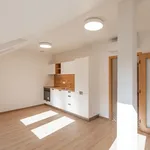 Rent 2 bedroom apartment of 49 m² in Prague