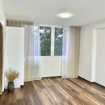 Rent 2 bedroom apartment in Mladá Boleslav